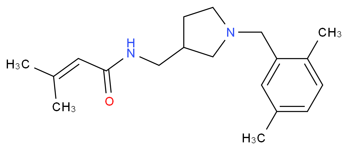 N-{[1-(2,5-dimethylbenzyl)pyrrolidin-3-yl]methyl}-3-methylbut-2-enamide_Molecular_structure_CAS_)