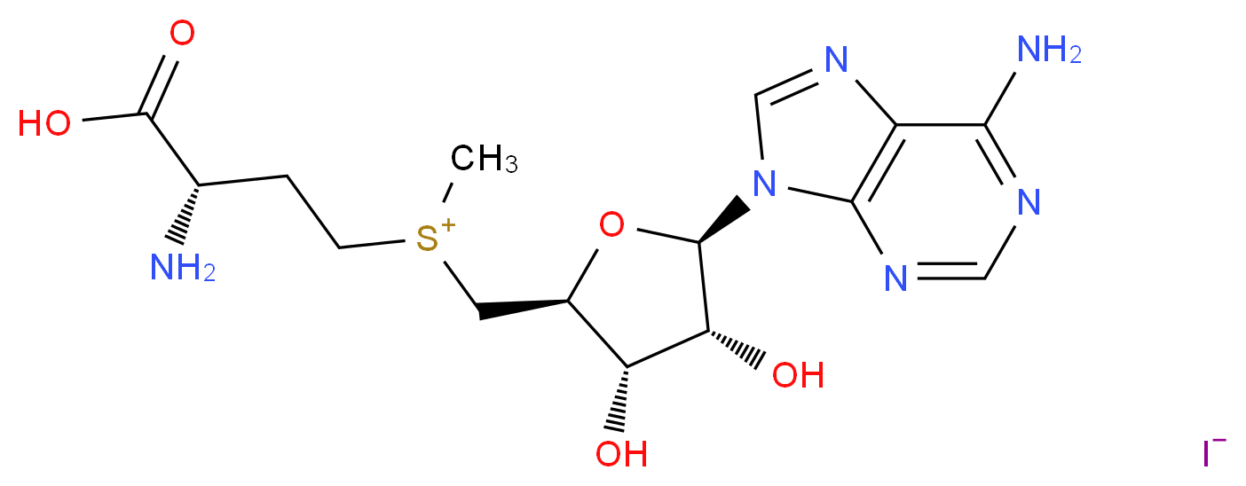 S-(5′-Adenosyl)-L-methionine iodide_Molecular_structure_CAS_3493-13-8)