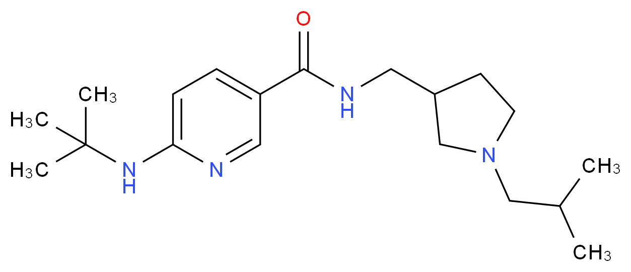 6-(tert-butylamino)-N-[(1-isobutyl-3-pyrrolidinyl)methyl]nicotinamide_Molecular_structure_CAS_)