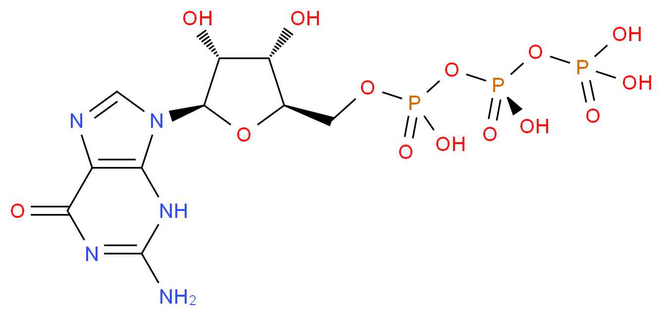 Guanosine triphosphate_Molecular_structure_CAS_86-01-1)