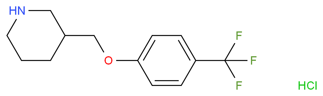 3-{[4-(Trifluoromethyl)phenoxy]methyl}piperidine hydrochloride_Molecular_structure_CAS_)