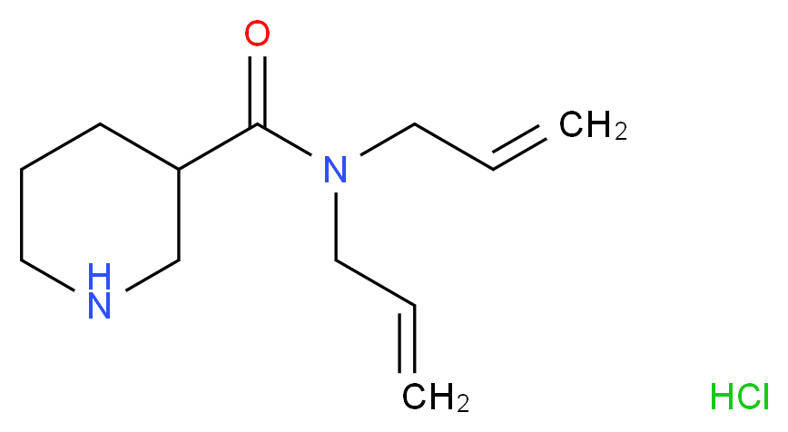 N,N-Diallyl-3-piperidinecarboxamide hydrochloride_Molecular_structure_CAS_)