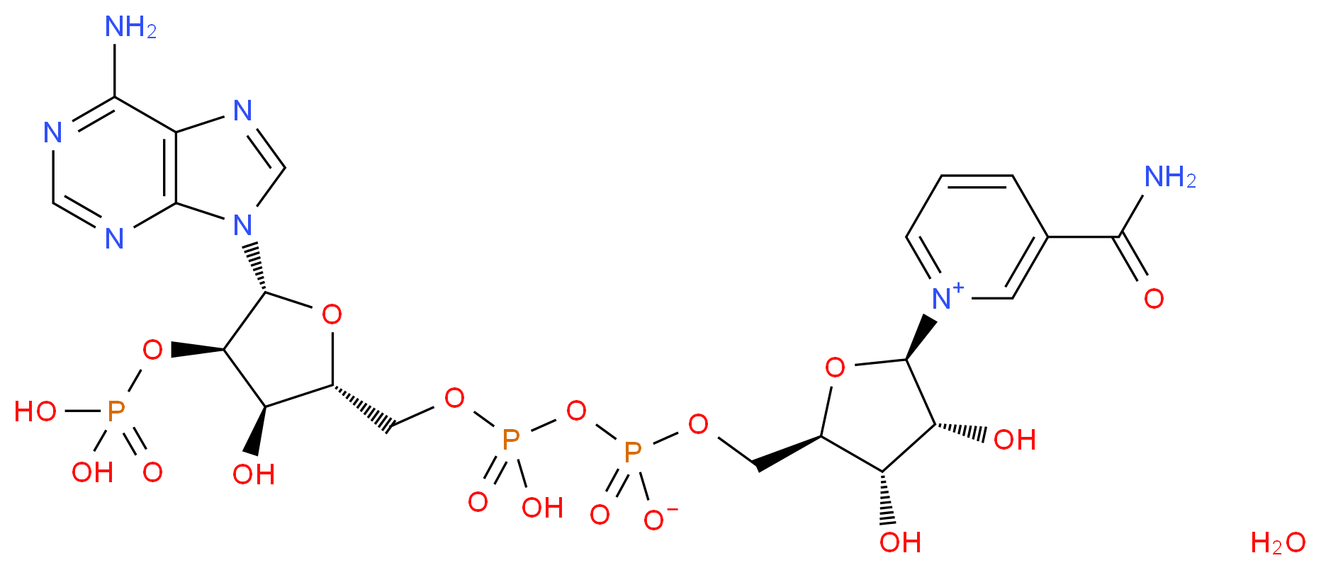 53-59-8(anhydrous) molecular structure