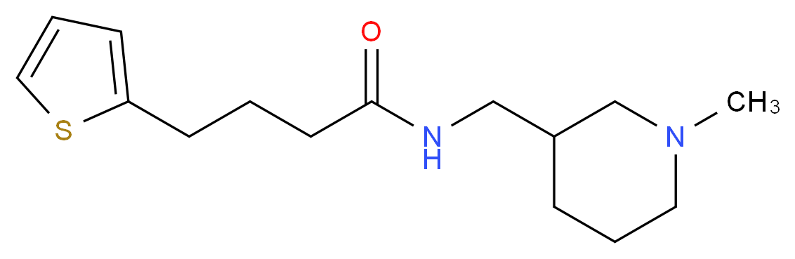 N-[(1-methylpiperidin-3-yl)methyl]-4-(2-thienyl)butanamide_Molecular_structure_CAS_)