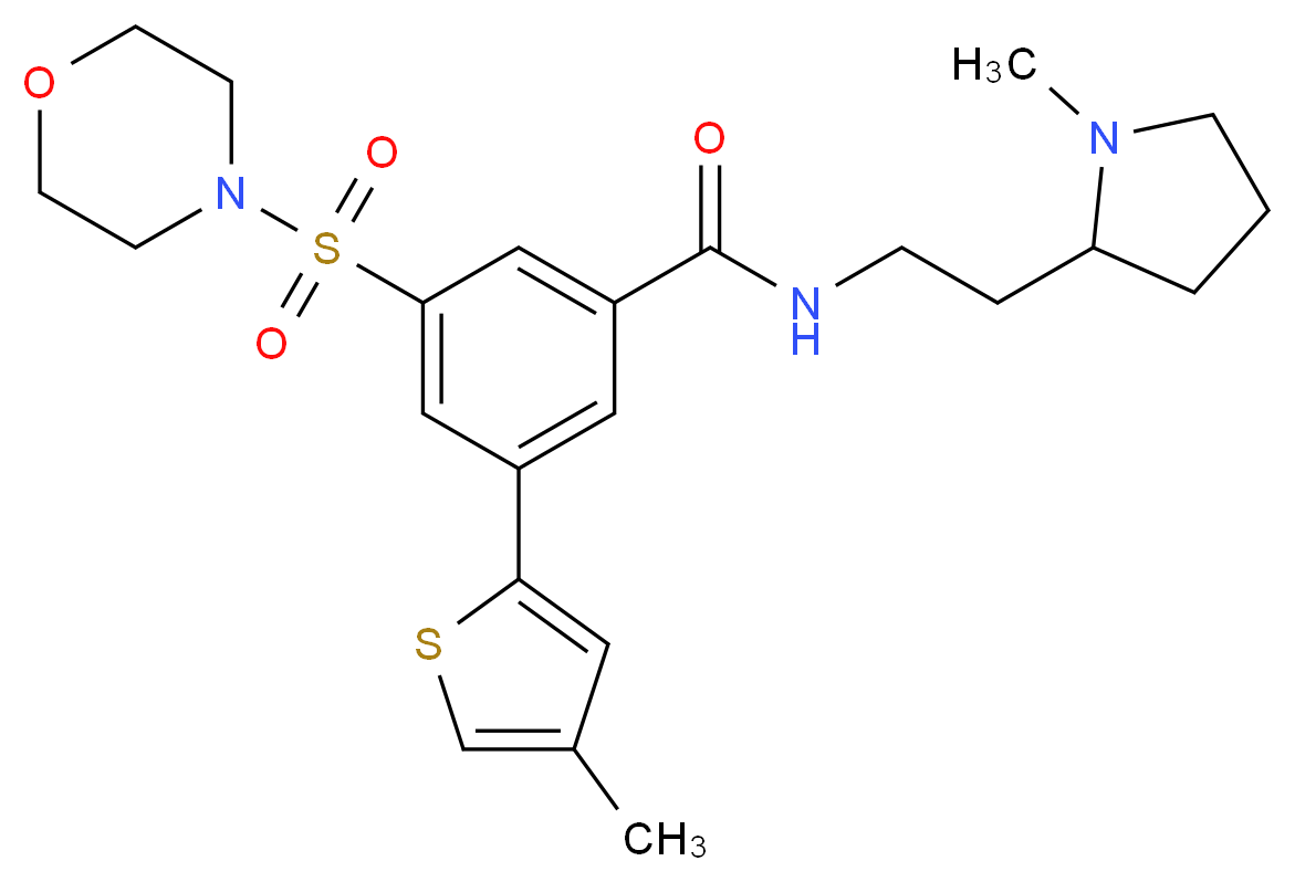 N-[2-(1-methyl-2-pyrrolidinyl)ethyl]-3-(4-methyl-2-thienyl)-5-(4-morpholinylsulfonyl)benzamide_Molecular_structure_CAS_)