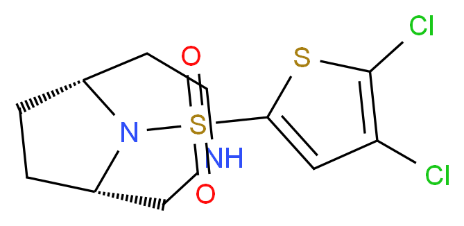 (1S*,6R*)-9-[(4,5-dichloro-2-thienyl)sulfonyl]-3,9-diazabicyclo[4.2.1]nonane_Molecular_structure_CAS_)