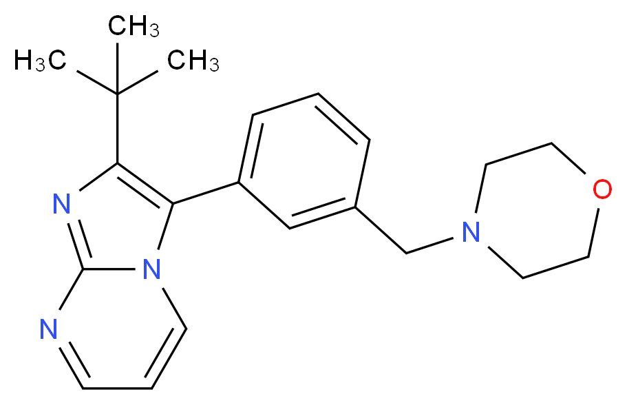 2-tert-butyl-3-[3-(morpholin-4-ylmethyl)phenyl]imidazo[1,2-a]pyrimidine_Molecular_structure_CAS_)