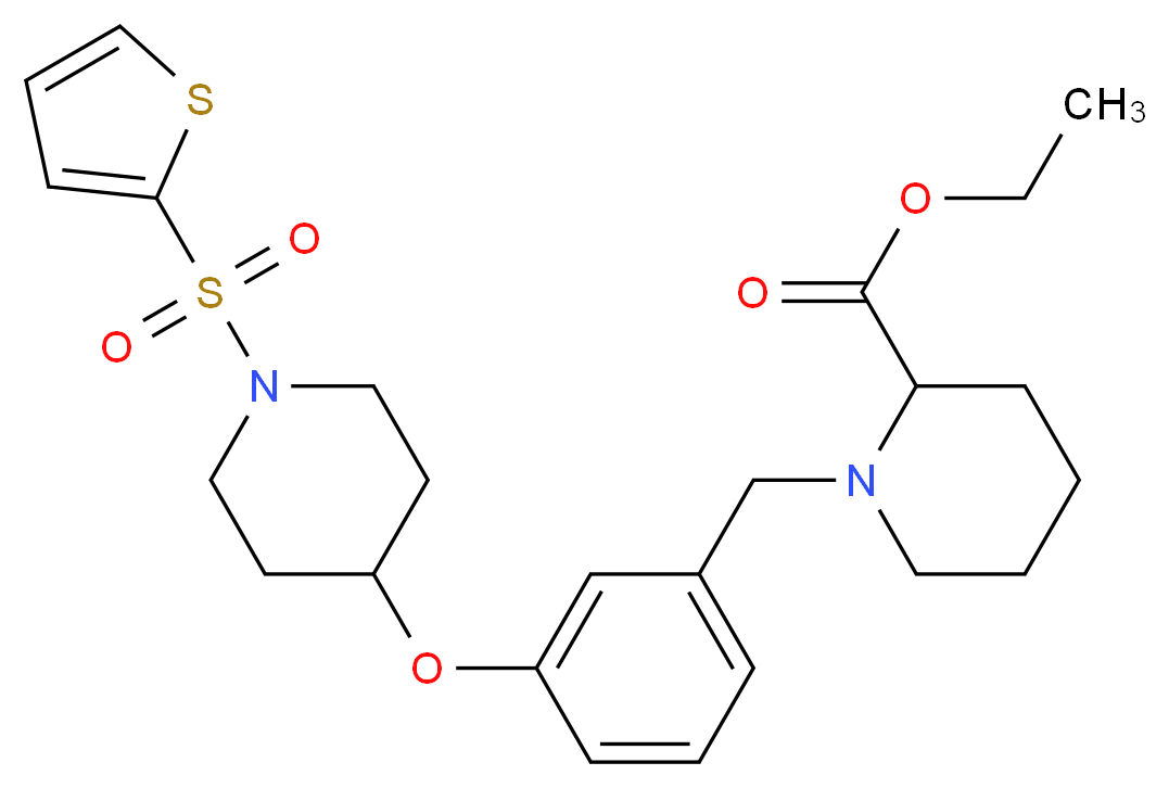 ethyl 1-(3-{[1-(2-thienylsulfonyl)-4-piperidinyl]oxy}benzyl)-2-piperidinecarboxylate_Molecular_structure_CAS_)