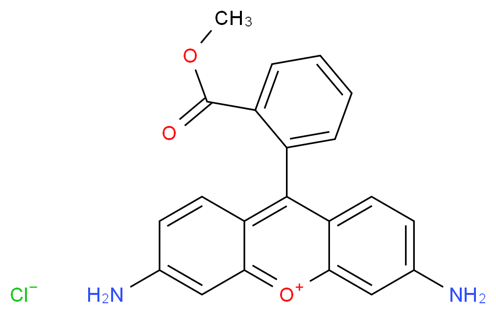 Rhodamine 123_Molecular_structure_CAS_62669-70-9)