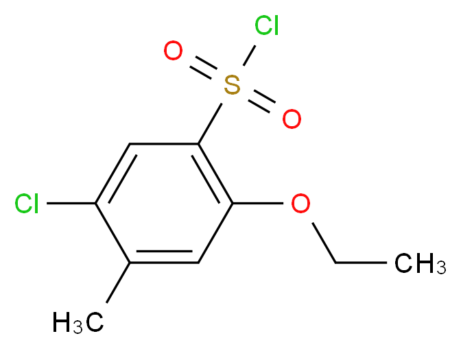 5-chloro-2-ethoxy-4-methylbenzenesulfonyl chloride_Molecular_structure_CAS_1216234-07-9)