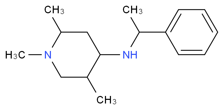 (1-Phenyl-ethyl)-(1,2,5-trimethyl-piperidin-4-yl)-amine_Molecular_structure_CAS_)