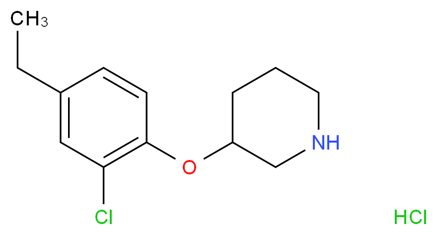 3-(2-Chloro-4-ethylphenoxy)piperidine hydrochloride_Molecular_structure_CAS_)