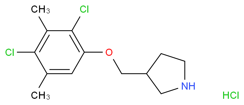 3-[(2,4-Dichloro-3,5-dimethylphenoxy)methyl]-pyrrolidine hydrochloride_Molecular_structure_CAS_)