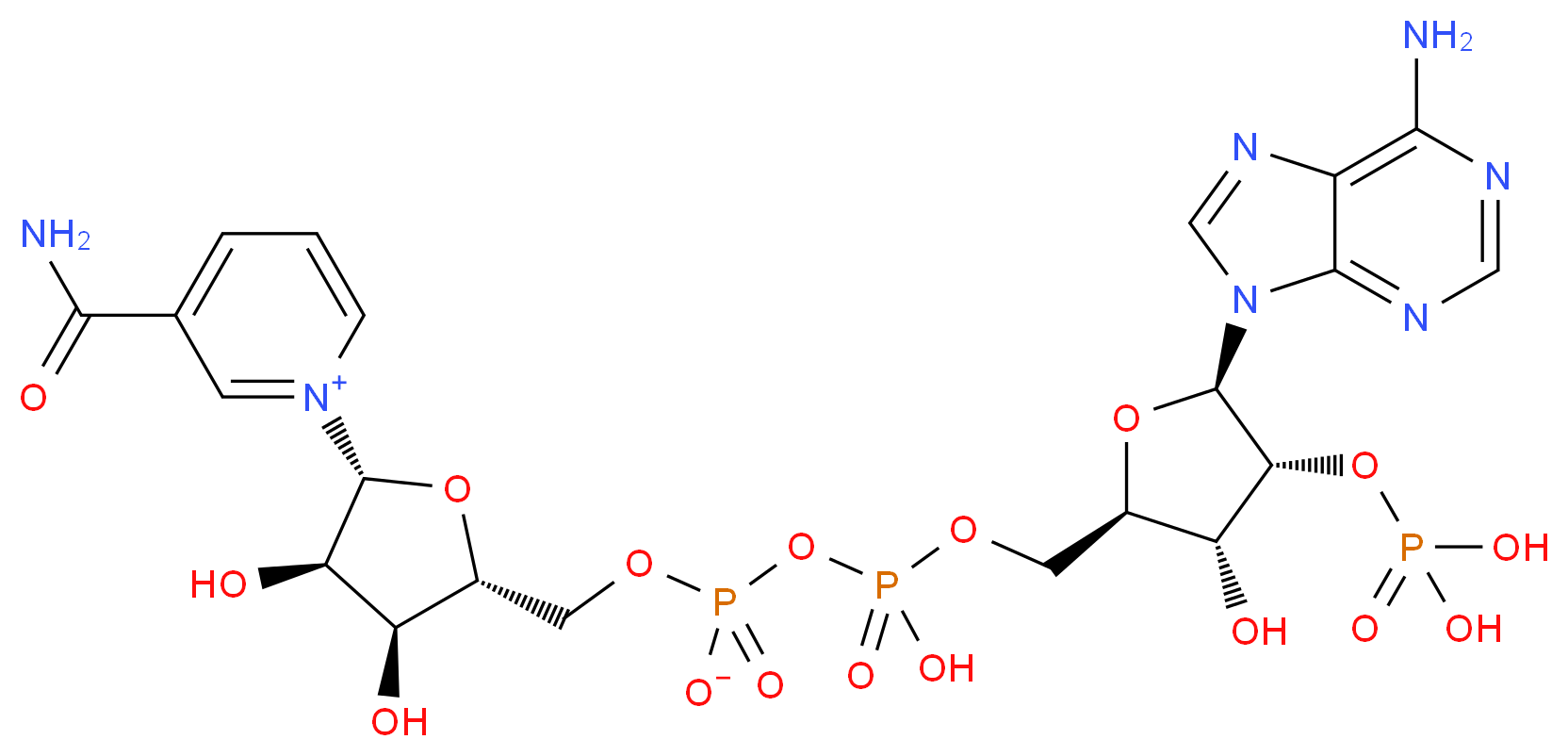 Nicotinamide adenine dinucleotide phosphate_Molecular_structure_CAS_53-59-8)