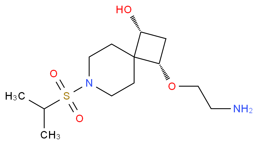 (1R*,3S*)-3-(2-aminoethoxy)-7-(isopropylsulfonyl)-7-azaspiro[3.5]nonan-1-ol_Molecular_structure_CAS_)