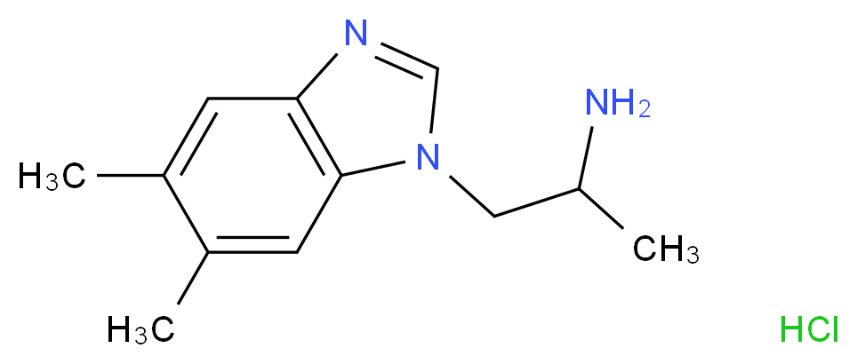 1-(5,6-dimethyl-1H-1,3-benzodiazol-1-yl)propan-2-amine hydrochloride_Molecular_structure_CAS_)