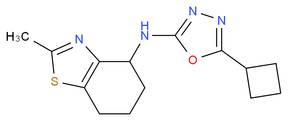 N-(5-cyclobutyl-1,3,4-oxadiazol-2-yl)-2-methyl-4,5,6,7-tetrahydro-1,3-benzothiazol-4-amine_Molecular_structure_CAS_)