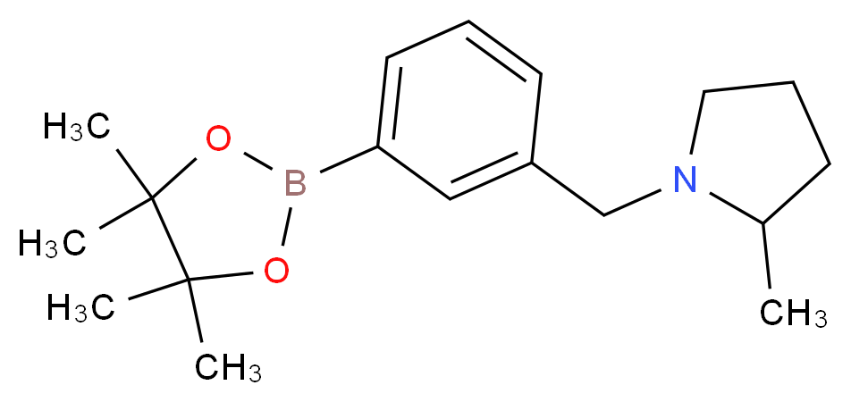 2-methyl-1-{[3-(4,4,5,5-tetramethyl-1,3,2-dioxaborolan-2-yl)phenyl]methyl}pyrrolidine_Molecular_structure_CAS_)