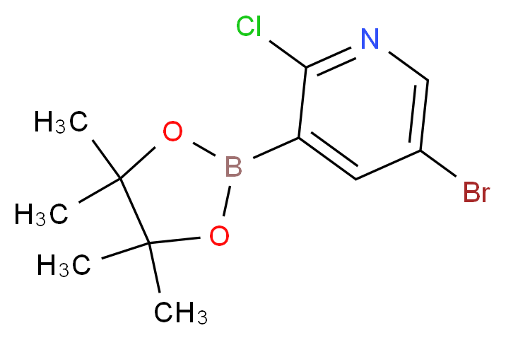 1073354-79-6 molecular structure