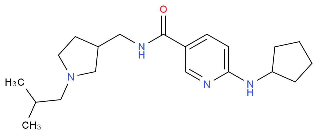 6-(cyclopentylamino)-N-[(1-isobutyl-3-pyrrolidinyl)methyl]nicotinamide_Molecular_structure_CAS_)