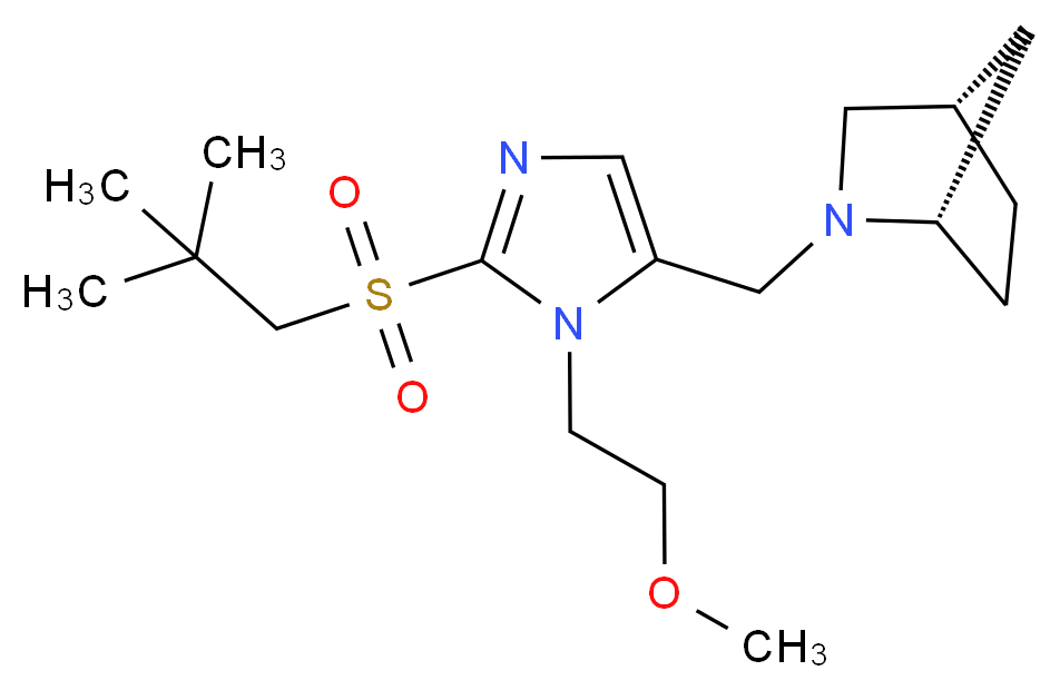 (1S*,4S*)-2-{[2-[(2,2-dimethylpropyl)sulfonyl]-1-(2-methoxyethyl)-1H-imidazol-5-yl]methyl}-2-azabicyclo[2.2.1]heptane_Molecular_structure_CAS_)