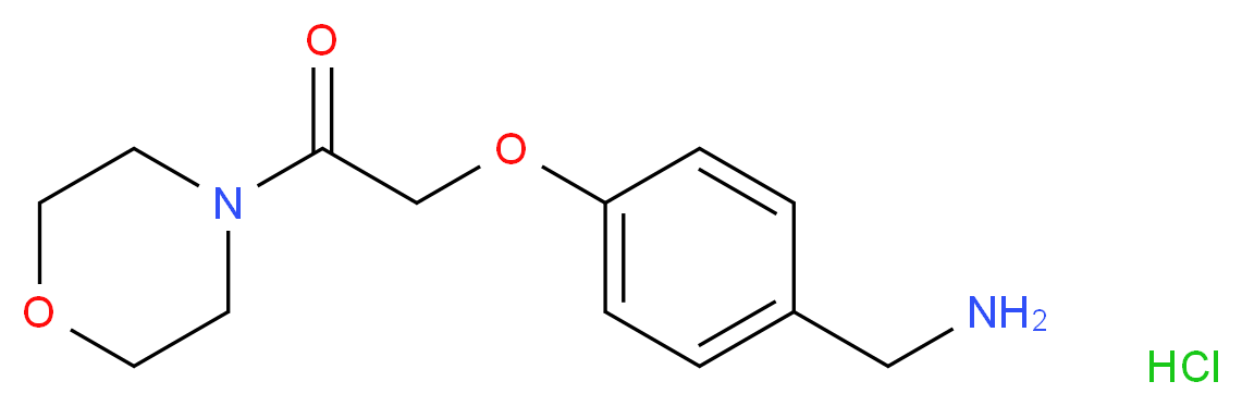 2-[4-(aminomethyl)phenoxy]-1-(morpholin-4-yl)ethan-1-one hydrochloride_Molecular_structure_CAS_)
