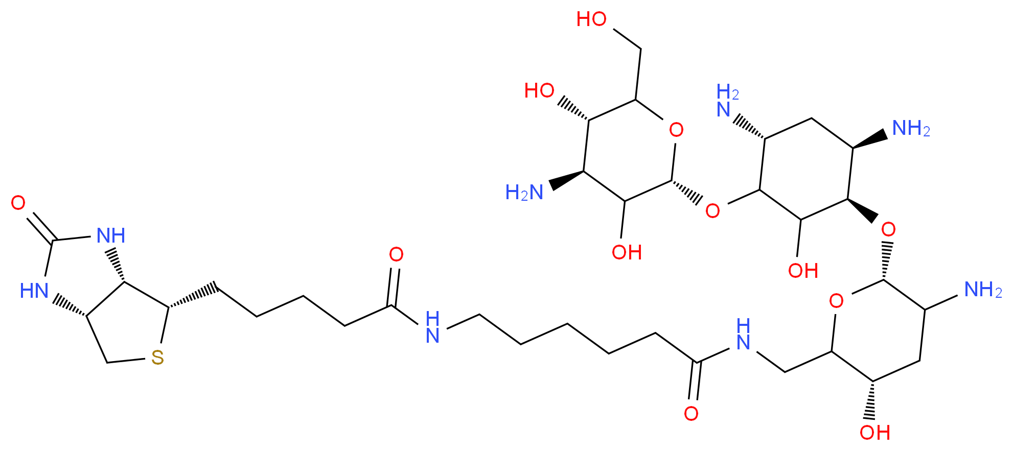 419573-19-6 molecular structure