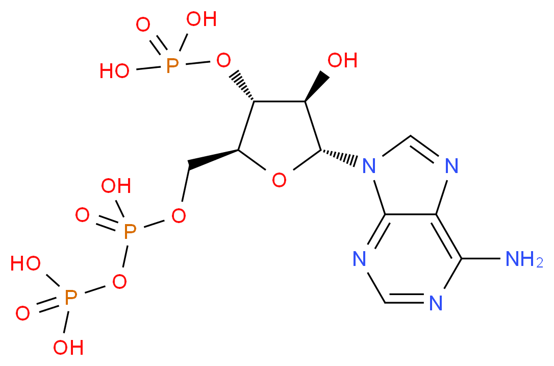 46509162 molecular structure