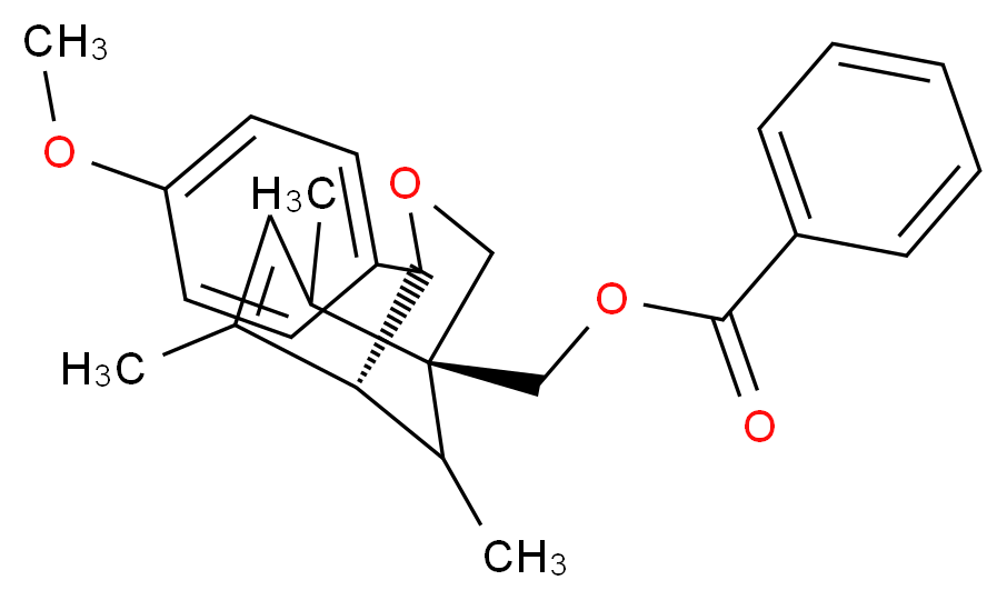 164244556 molecular structure
