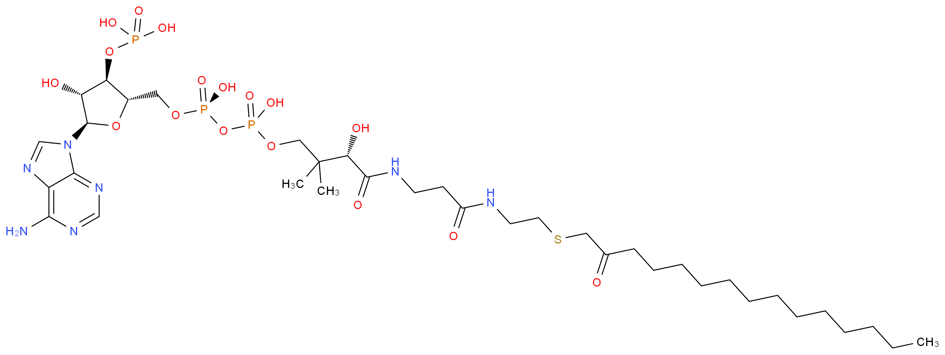 160965475 molecular structure