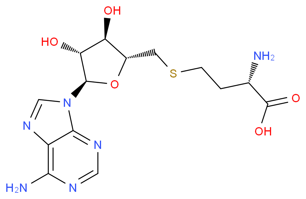 979-92-0 molecular structure