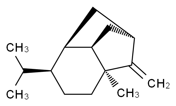 24959-83-9 molecular structure