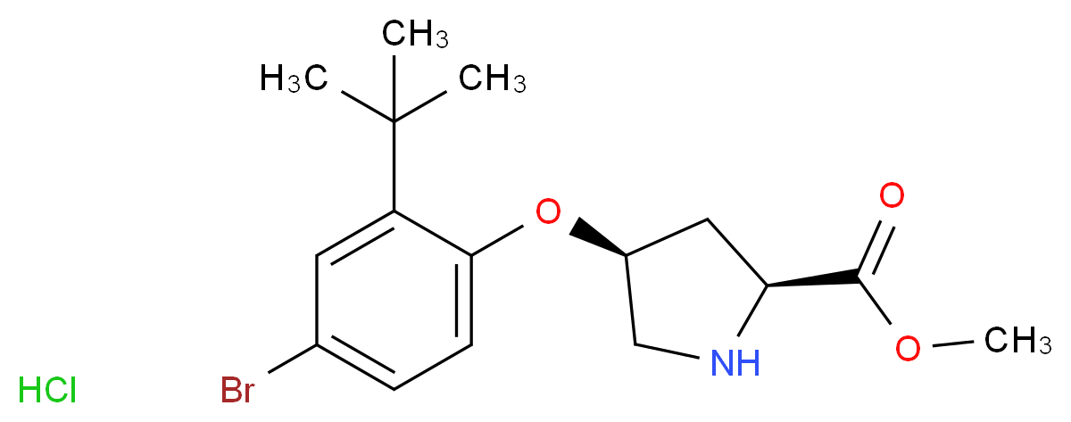 MFCD13561312 molecular structure