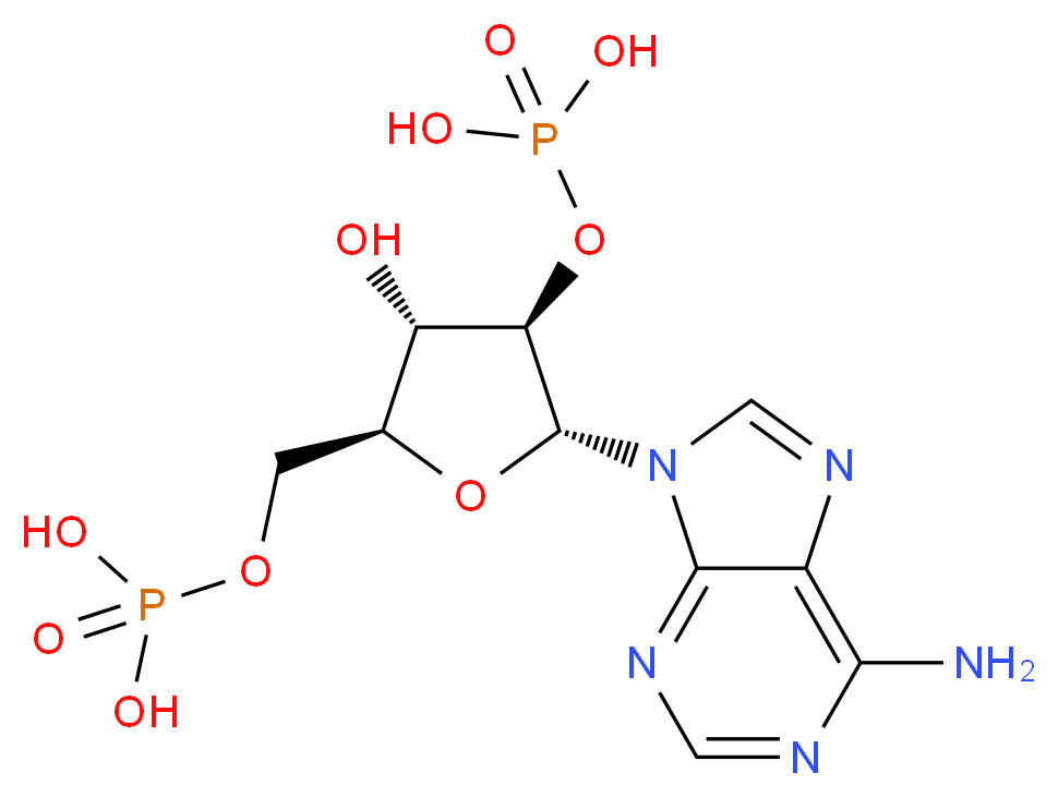 46504615 molecular structure