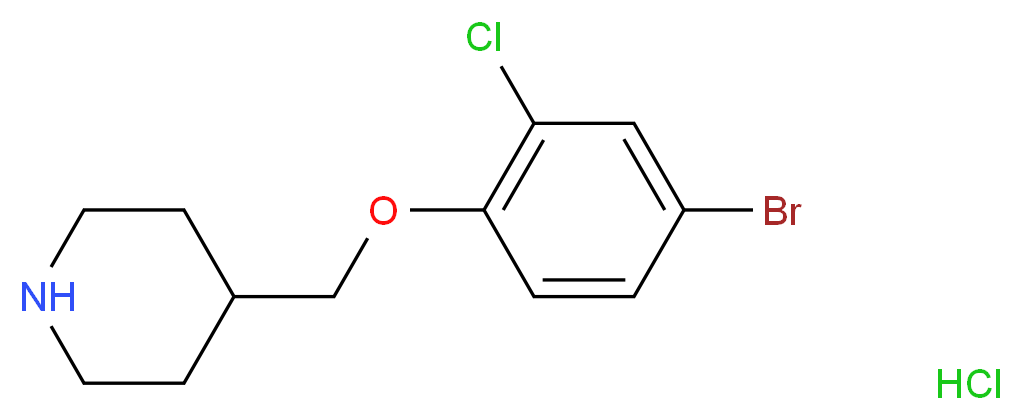 MFCD13561055 molecular structure