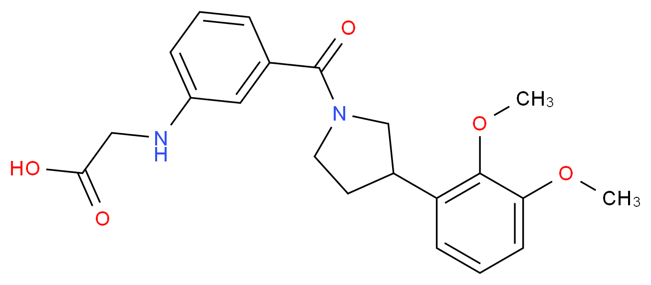 [(3-{[3-(2,3-dimethoxyphenyl)pyrrolidin-1-yl]carbonyl}phenyl)amino]acetic acid_Molecular_structure_CAS_)