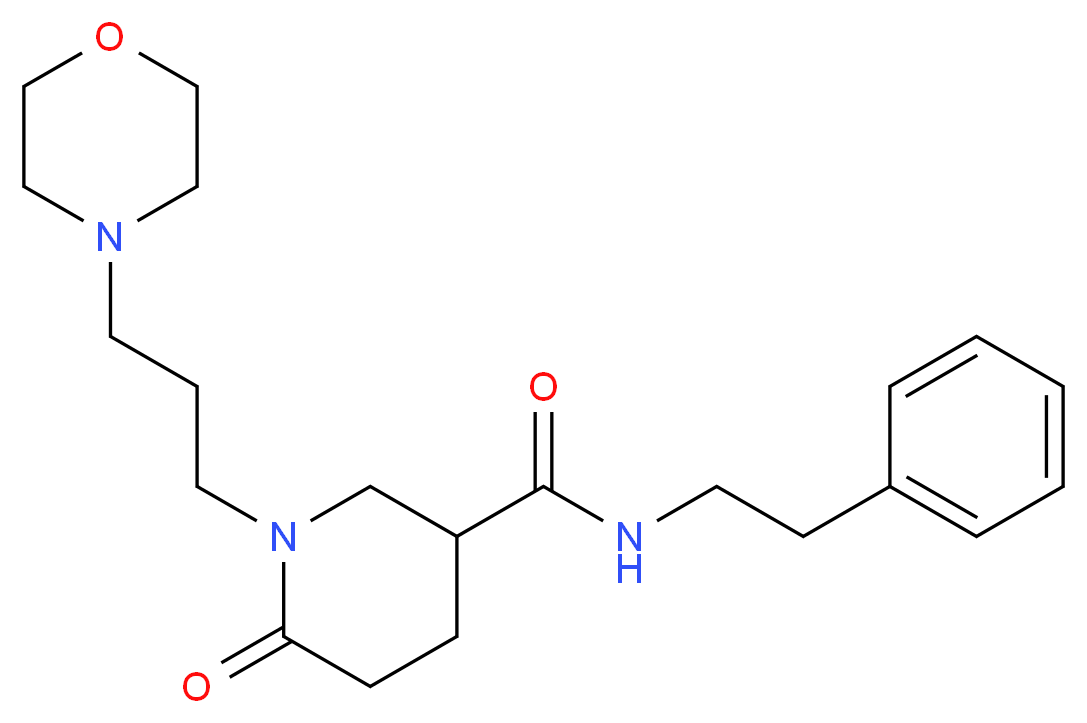 1-[3-(4-morpholinyl)propyl]-6-oxo-N-(2-phenylethyl)-3-piperidinecarboxamide_Molecular_structure_CAS_)