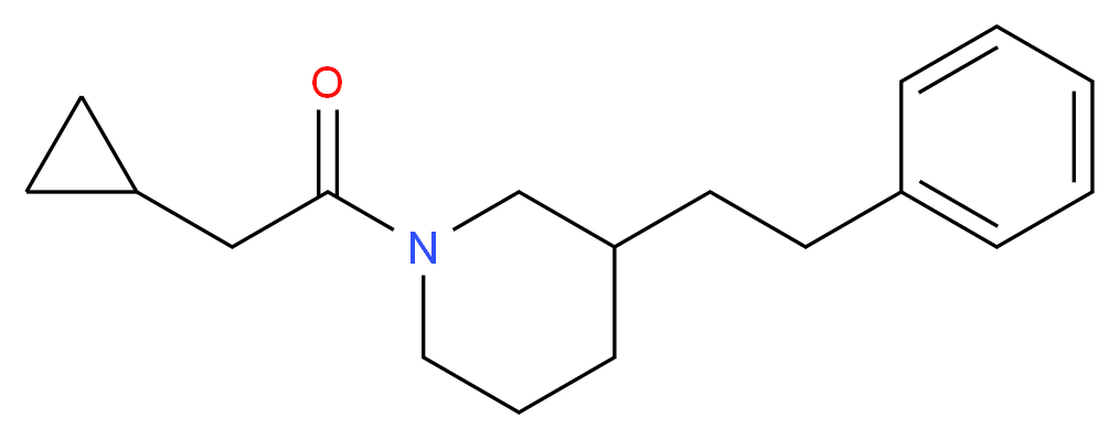 1-(cyclopropylacetyl)-3-(2-phenylethyl)piperidine_Molecular_structure_CAS_)