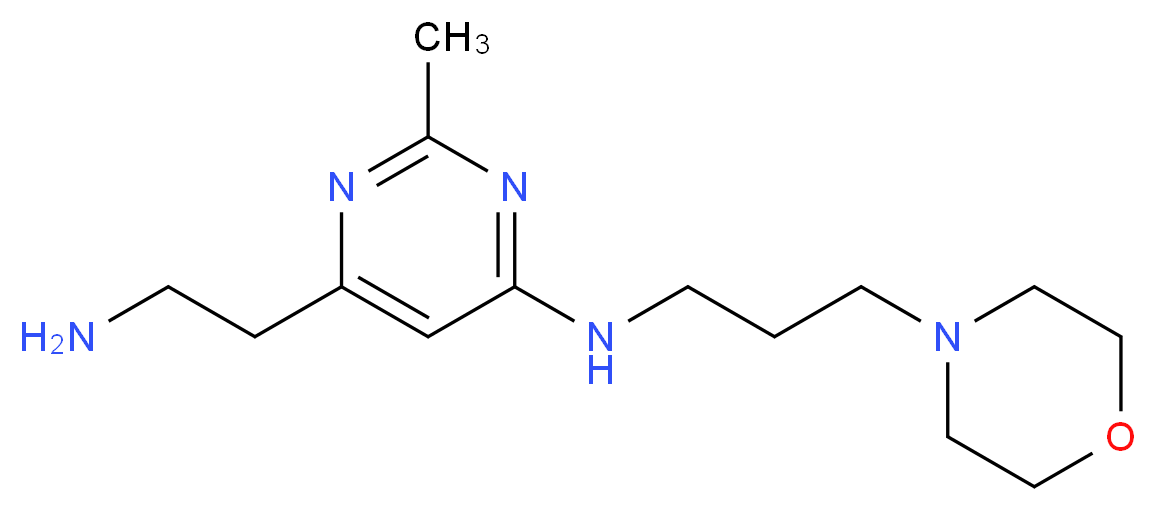 6-(2-aminoethyl)-2-methyl-N-(3-morpholin-4-ylpropyl)pyrimidin-4-amine_Molecular_structure_CAS_)