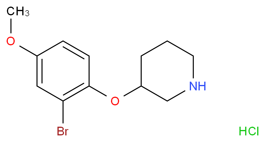 3-(2-Bromo-4-methoxyphenoxy)piperidine hydrochloride_Molecular_structure_CAS_)