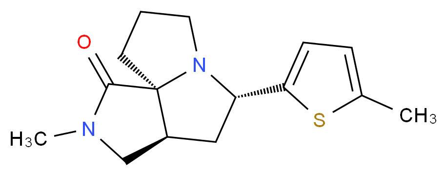 (3aS*,5S*,9aS*)-2-methyl-5-(5-methyl-2-thienyl)hexahydro-7H-pyrrolo[3,4-g]pyrrolizin-1(2H)-one_Molecular_structure_CAS_)