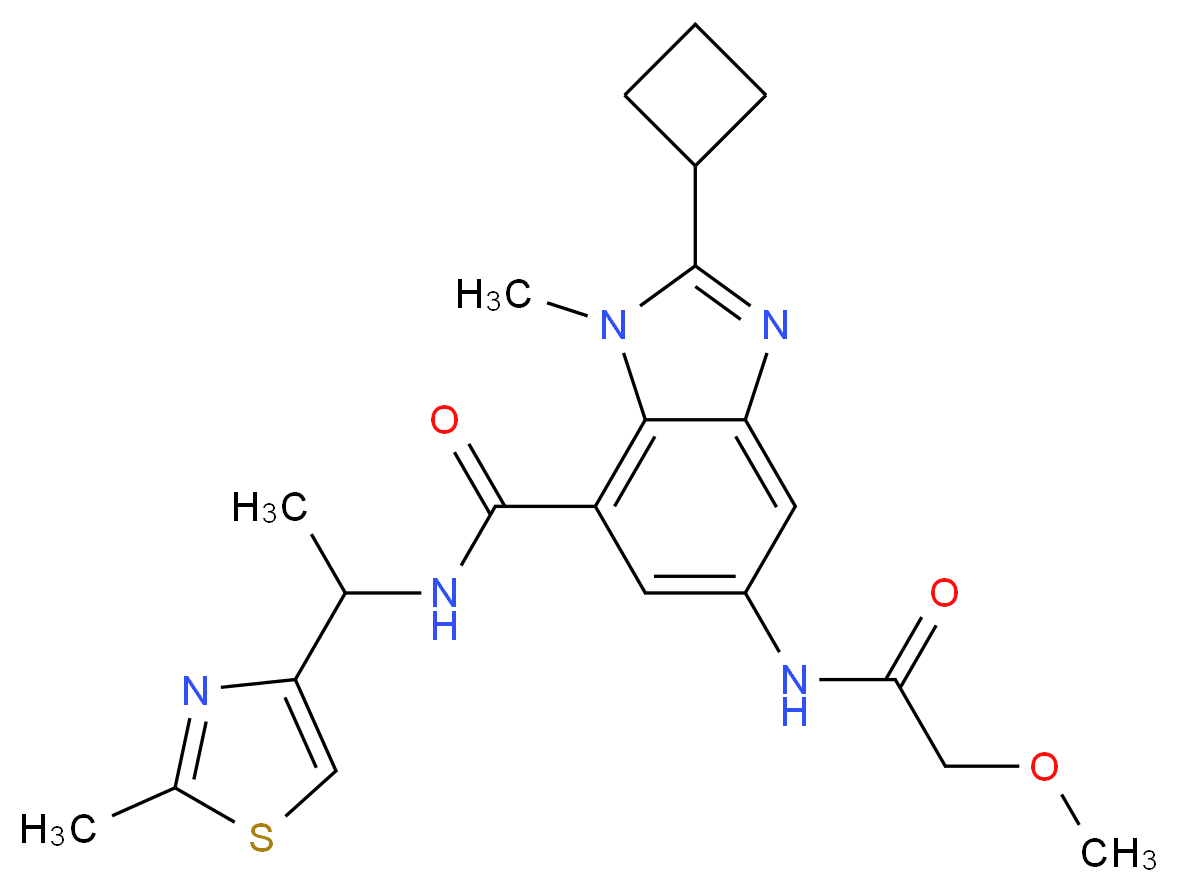 2-cyclobutyl-5-[(methoxyacetyl)amino]-1-methyl-N-[1-(2-methyl-1,3-thiazol-4-yl)ethyl]-1H-benzimidazole-7-carboxamide_Molecular_structure_CAS_)
