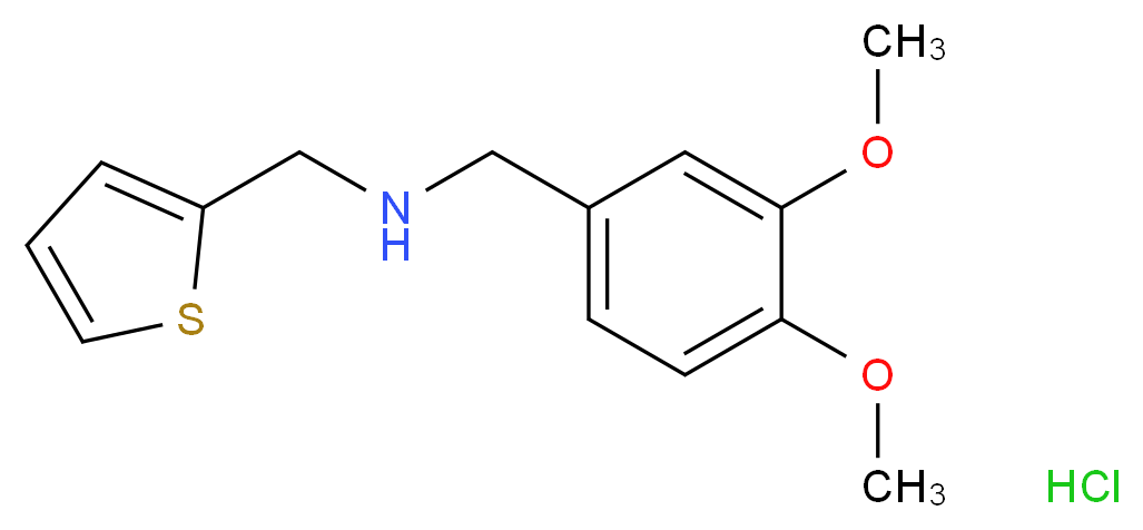 N-(3,4-dimethoxybenzyl)-N-(thien-2-ylmethyl)amine hydrochloride_Molecular_structure_CAS_)