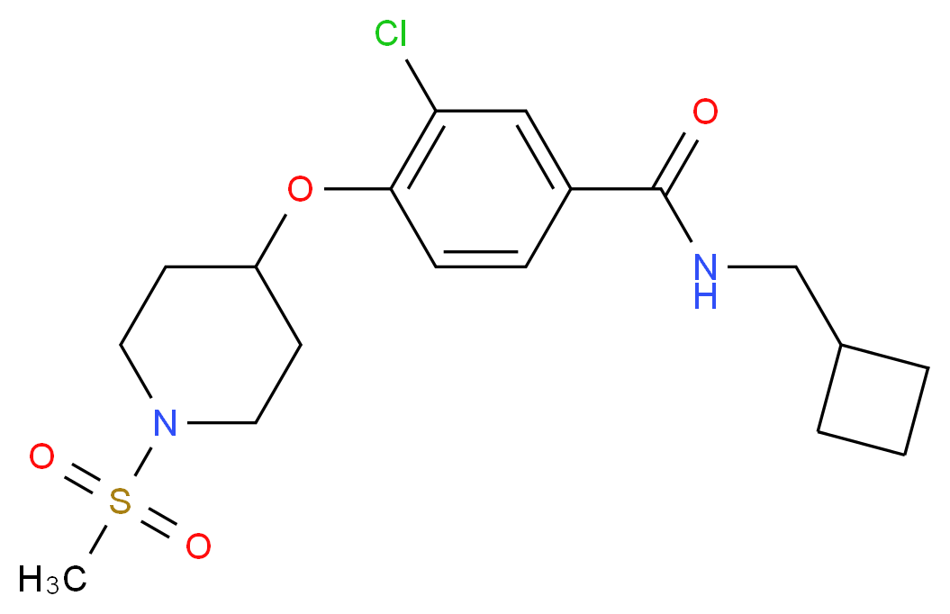 3-chloro-N-(cyclobutylmethyl)-4-{[1-(methylsulfonyl)piperidin-4-yl]oxy}benzamide_Molecular_structure_CAS_)