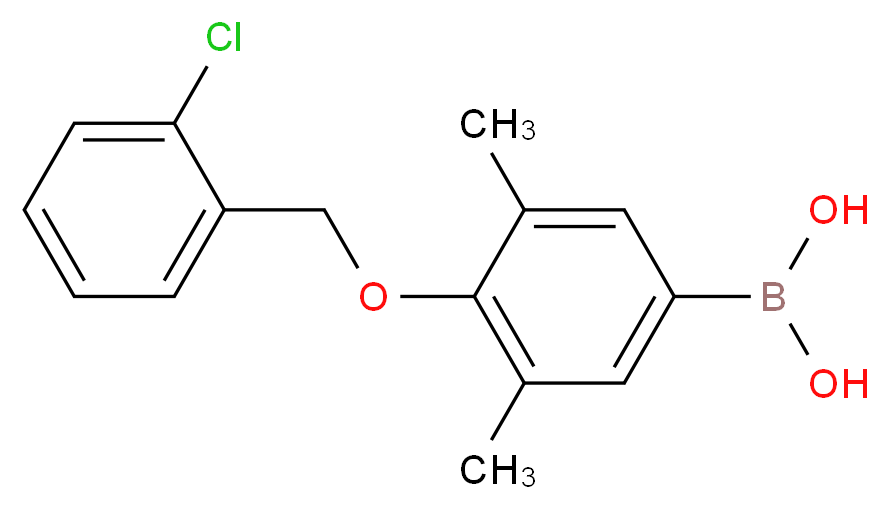 4-(2'-CHLOROBENZYLOXY)-3,5-DIMETHYLPHENYLBORONIC ACID_Molecular_structure_CAS_849052-15-9)