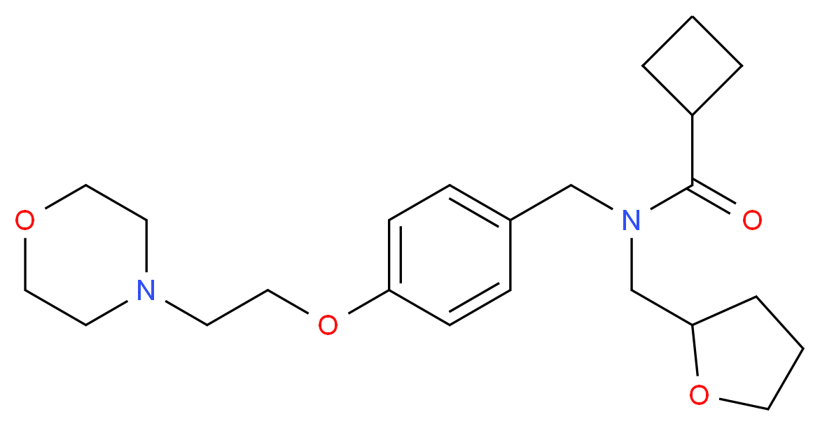 N-{4-[2-(4-morpholinyl)ethoxy]benzyl}-N-(tetrahydro-2-furanylmethyl)cyclobutanecarboxamide_Molecular_structure_CAS_)
