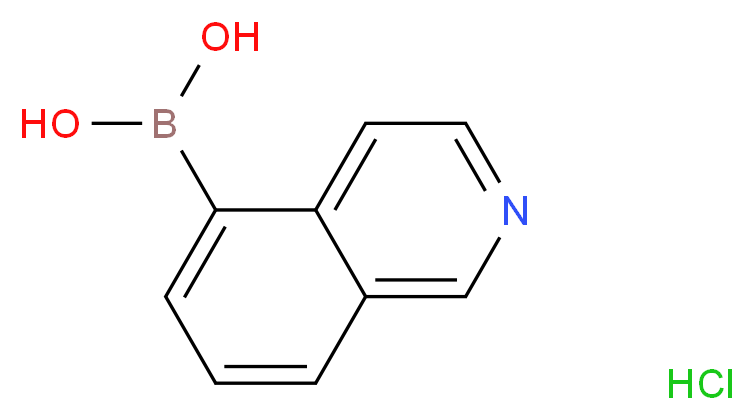 Isoquinoline-5-boronic acid hydrochloride 97%_Molecular_structure_CAS_371766-08-4)