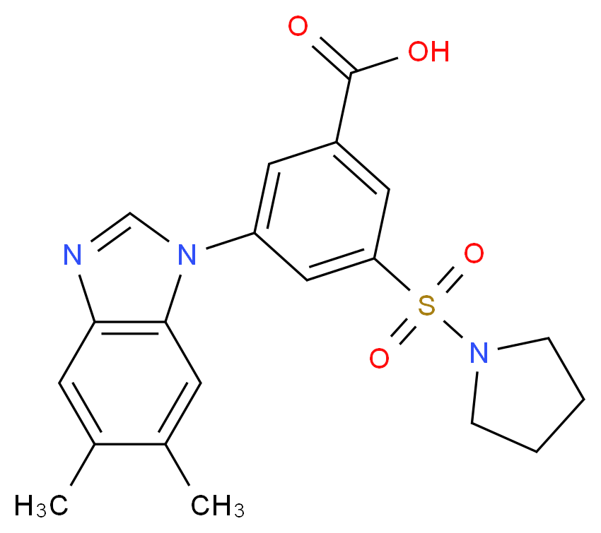 3-(5,6-dimethyl-1H-benzimidazol-1-yl)-5-(pyrrolidin-1-ylsulfonyl)benzoic acid_Molecular_structure_CAS_)