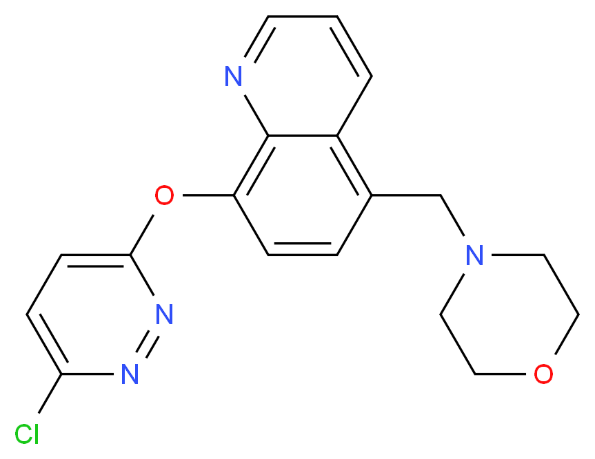 8-[(6-chloropyridazin-3-yl)oxy]-5-(morpholin-4-ylmethyl)quinoline_Molecular_structure_CAS_)