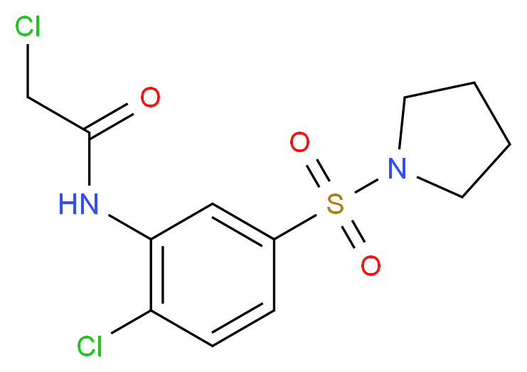 2-Chloro-N-[2-chloro-5-(pyrrolidine-1-sulfonyl)-phenyl]-acetamide_Molecular_structure_CAS_)